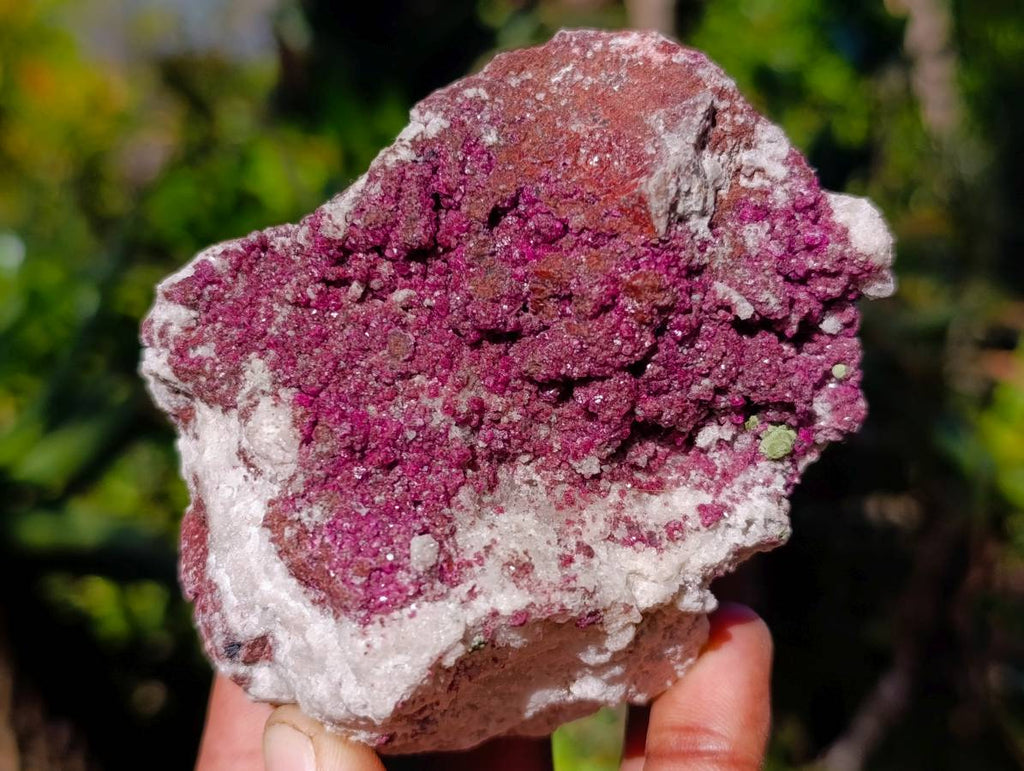 Natural Salrose Cobaltion Dolomite Specimens x 6 From Kakanda, Congo - Toprock Gemstones and Minerals 