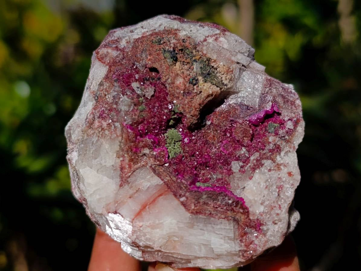 Natural Salrose Cobaltion Dolomite Specimens x 6 From Kakanda, Congo - Toprock Gemstones and Minerals 