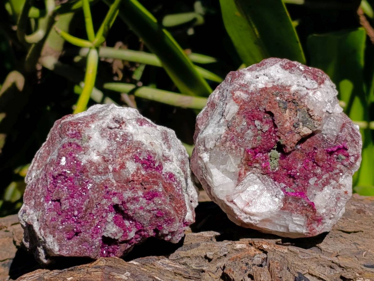 Natural Salrose Cobaltion Dolomite Specimens x 6 From Kakanda, Congo - Toprock Gemstones and Minerals 