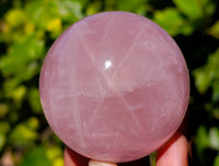 Polished Rose Quartz Spheres x 4 From Madagascar - Toprock Gemstones and Minerals 