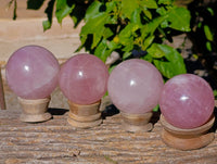 Polished Rose Quartz Spheres x 4 From Madagascar - Toprock Gemstones and Minerals 