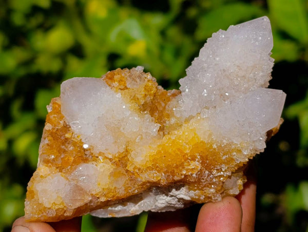 Natural Limonite Spirit Quartz Specimens x 26 From Boekenhouthoek, South Africa - Toprock Gemstones and Minerals 