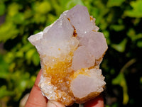 Natural Limonite Spirit Quartz Specimens x 26 From Boekenhouthoek, South Africa - Toprock Gemstones and Minerals 
