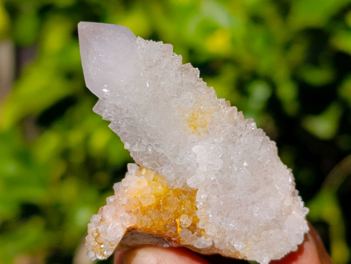 Natural Limonite Spirit Quartz Specimens x 26 From Boekenhouthoek, South Africa - Toprock Gemstones and Minerals 