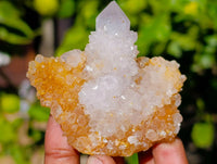 Natural Limonite Spirit Quartz Specimens x 26 From Boekenhouthoek, South Africa - Toprock Gemstones and Minerals 