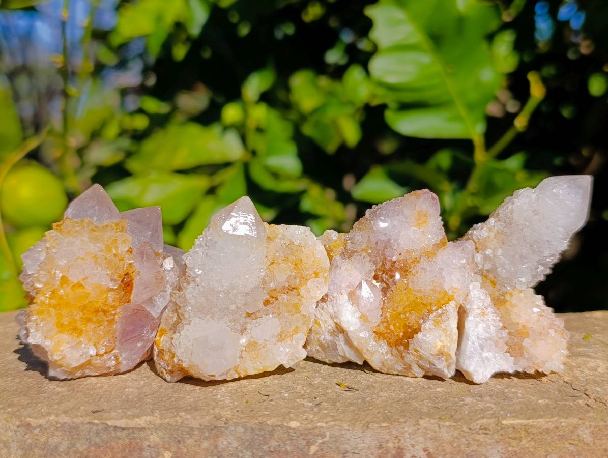 Natural Limonite Spirit Quartz Specimens x 26 From Boekenhouthoek, South Africa - Toprock Gemstones and Minerals 