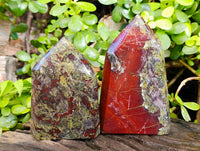 Polished Bastite Dragons Blood Stone Points x 2 From Tshipise, South Africa - Toprock Gemstones and Minerals 
