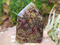 Polished Bastite Dragons Blood Stone Points x 2 From Tshipise, South Africa - Toprock Gemstones and Minerals 