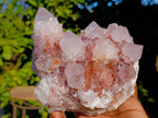 Natural Amethyst Spirit Quartz Clusters x 2 From Boekenhouthoek, South Africa - Toprock Gemstones and Minerals 