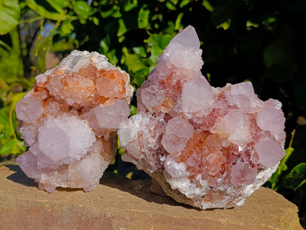 Natural Amethyst Spirit Quartz Clusters x 2 From Boekenhouthoek, South Africa - Toprock Gemstones and Minerals 