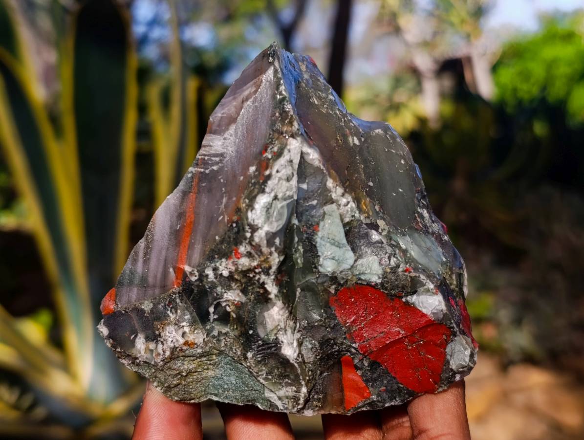 Natural Cobbed Bloodstone Specimens x 4 From Swaziland - Toprock Gemstones and Minerals 