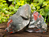 Natural Cobbed Bloodstone Specimens x 4 From Swaziland - Toprock Gemstones and Minerals 