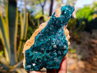 Natural Dioptase On Dolomite Specimens x 2 From Likasi, Congo - Toprock Gemstones and Minerals 