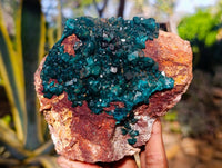 Natural Dioptase On Dolomite Specimens x 2 From Likasi, Congo - Toprock Gemstones and Minerals 