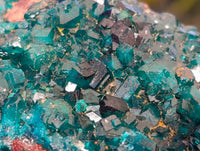 Natural Dioptase On Dolomite Specimens x 2 From Likasi, Congo - Toprock Gemstones and Minerals 