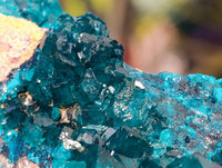 Natural Dioptase On Dolomite Specimens x 2 From Likasi, Congo - Toprock Gemstones and Minerals 