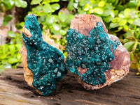 Natural Dioptase On Dolomite Specimens x 2 From Likasi, Congo - Toprock Gemstones and Minerals 