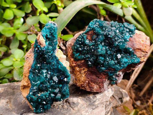 Natural Dioptase On Dolomite Specimens x 2 From Likasi, Congo - Toprock Gemstones and Minerals 