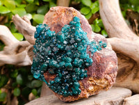 Natural Dioptase On Dolomite Specimens x 2 From Likasi, Congo - Toprock Gemstones and Minerals 