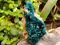 Natural Dioptase On Dolomite Specimens x 2 From Likasi, Congo - Toprock Gemstones and Minerals 