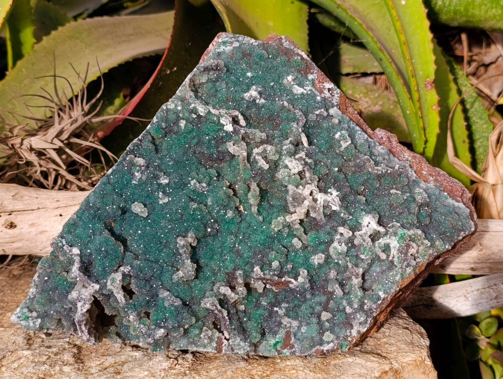 Natural Ball Malachite On Dolomite Matrix Specimen x 1 From Kambove, Congo - Toprock Gemstones and Minerals 
