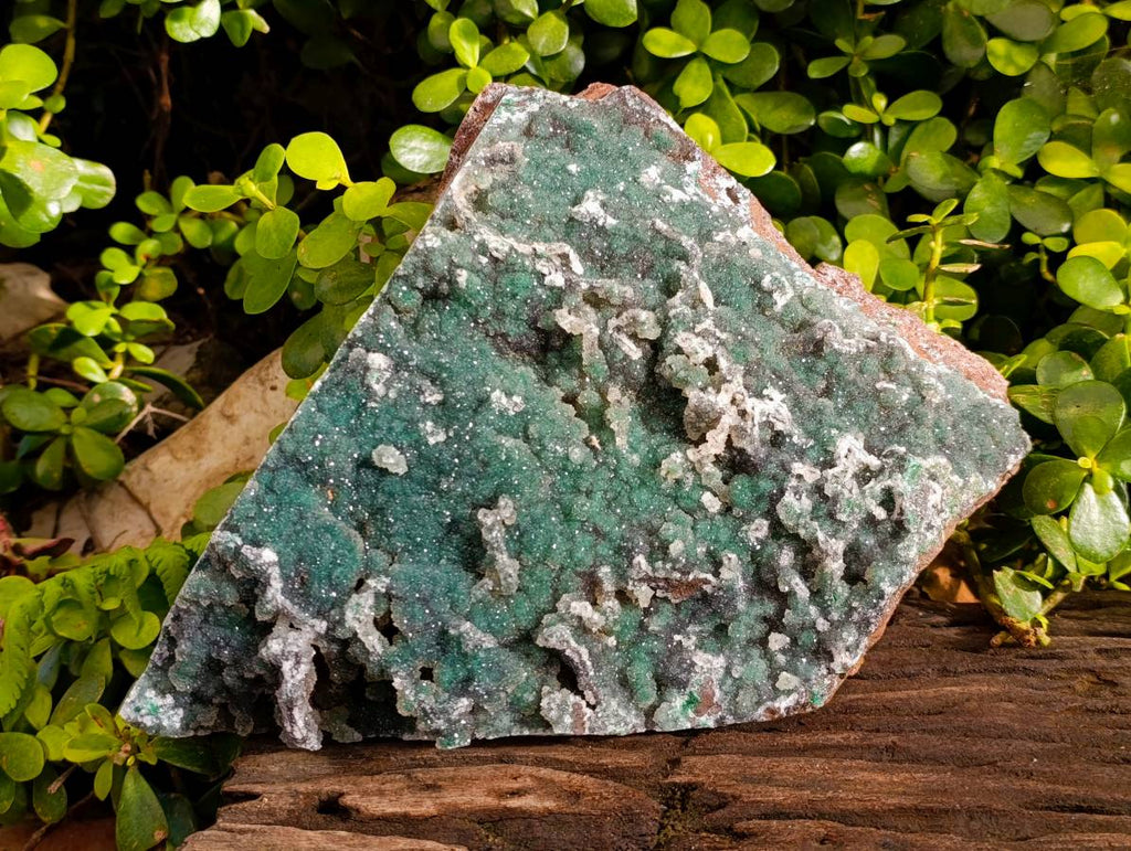 Natural Ball Malachite On Dolomite Matrix Specimen x 1 From Kambove, Congo - Toprock Gemstones and Minerals 