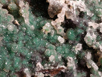 Natural Ball Malachite On Dolomite Matrix Specimen x 1 From Kambove, Congo - Toprock Gemstones and Minerals 