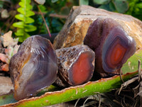 Polished On One Side Red Sashe River Agate Nodules x 12 From Zimbabwe - Toprock Gemstones and Minerals 