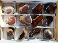 Polished On One Side Red Sashe River Agate Nodules x 12 From Zimbabwe - Toprock Gemstones and Minerals 