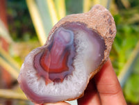 Polished On One Side Red Sashe River Agate Nodules x 12 From Zimbabwe - Toprock Gemstones and Minerals 