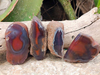 Polished On One Side Red Sashe River Agate Nodules x 12 From Zimbabwe - Toprock Gemstones and Minerals 