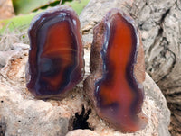 Polished On One Side Red Sashe River Agate Nodules x 12 From Zimbabwe - Toprock Gemstones and Minerals 