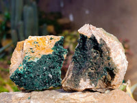 Natural Crystalline Malachite Specimens x 6 From Tenke Fungurume, Congo - Toprock Gemstones and Minerals 