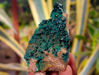 Natural Crystalline Malachite Specimens x 6 From Tenke Fungurume, Congo - Toprock Gemstones and Minerals 