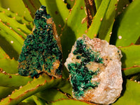 Natural Crystalline Malachite Specimens x 6 From Tenke Fungurume, Congo - Toprock Gemstones and Minerals 