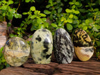 Polished Leopard Stone Standing Free Forms x 4 From Nyanga, Zimbabwe - Toprock Gemstones and Minerals 