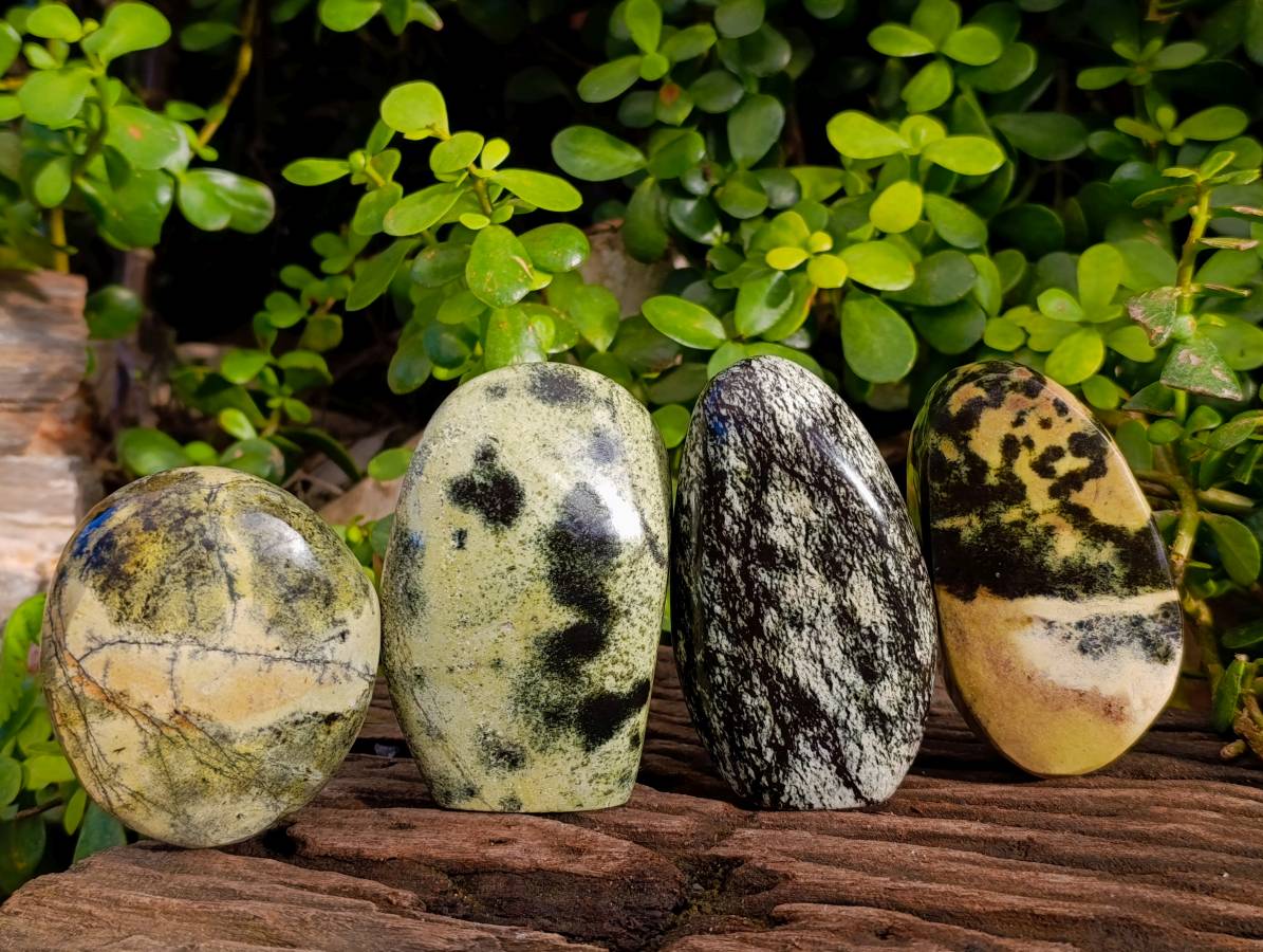 Polished Leopard Stone Standing Free Forms x 4 From Nyanga, Zimbabwe - Toprock Gemstones and Minerals 