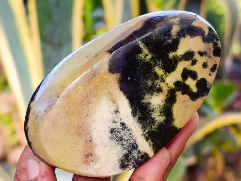 Polished Leopard Stone Standing Free Forms x 4 From Nyanga, Zimbabwe - Toprock Gemstones and Minerals 