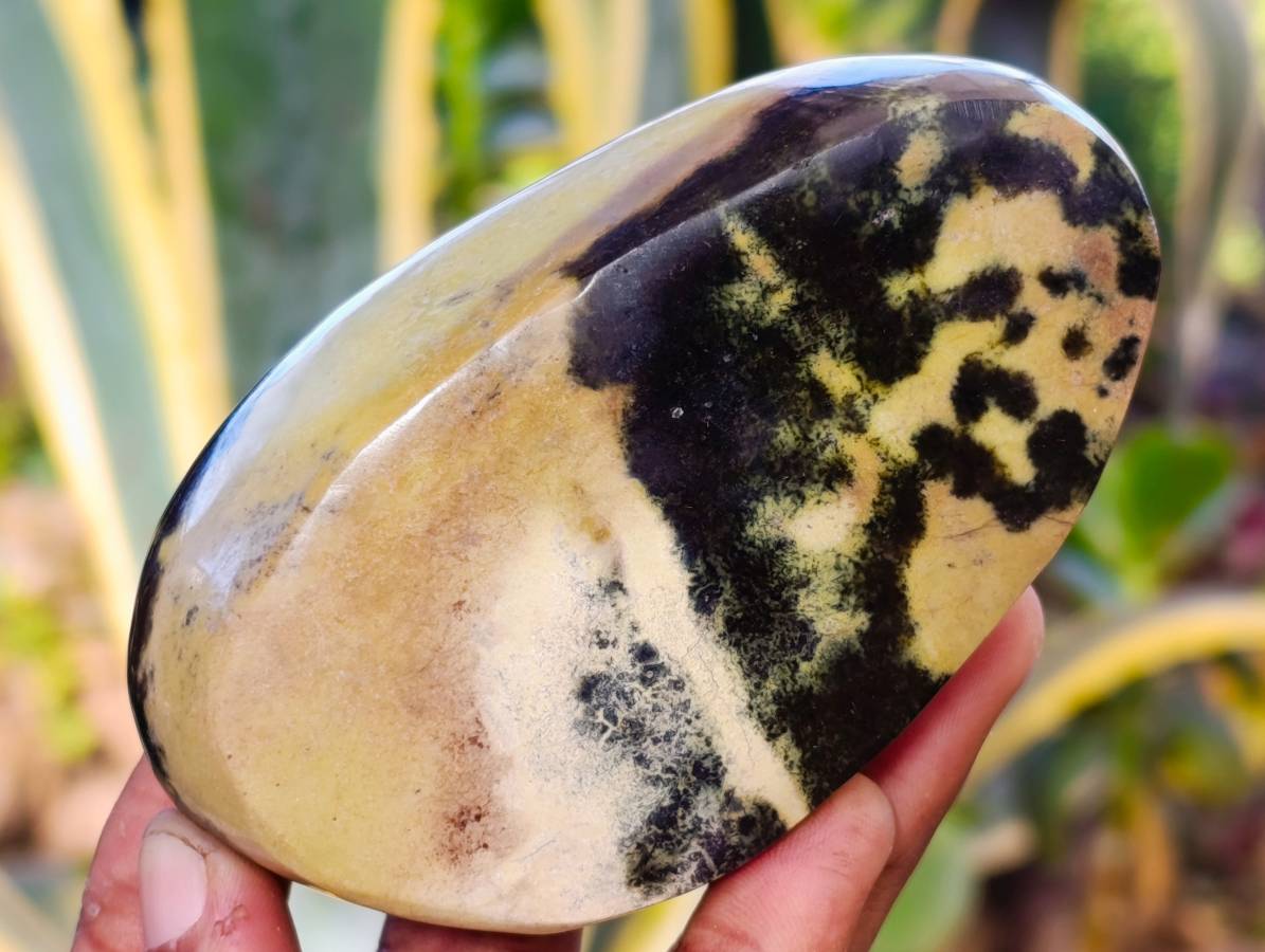 Polished Leopard Stone Standing Free Forms x 4 From Nyanga, Zimbabwe - Toprock Gemstones and Minerals 