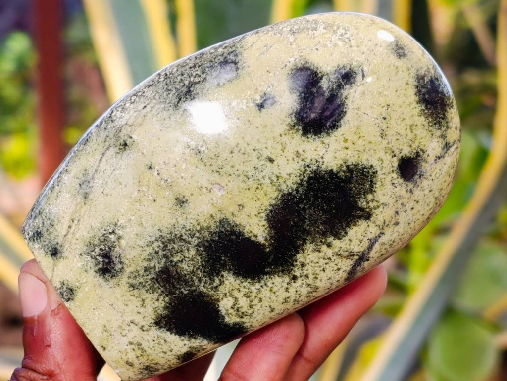 Polished Leopard Stone Standing Free Forms x 4 From Nyanga, Zimbabwe - Toprock Gemstones and Minerals 