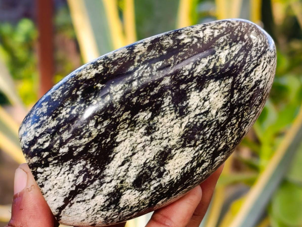 Polished Leopard Stone Standing Free Forms x 4 From Nyanga, Zimbabwe - Toprock Gemstones and Minerals 