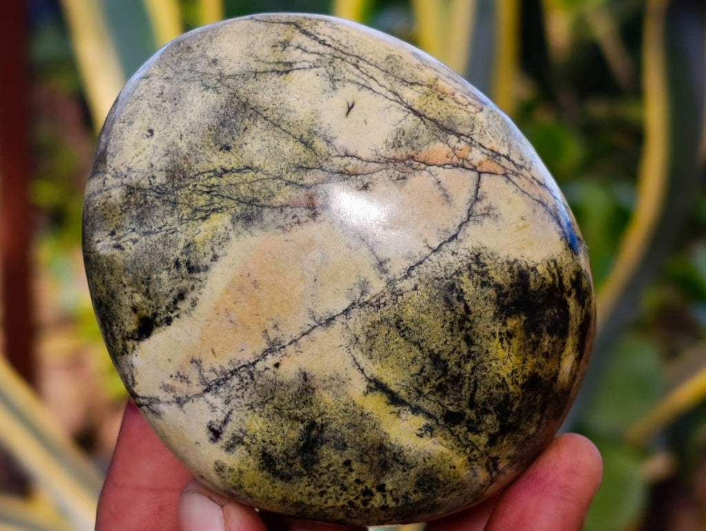 Polished Leopard Stone Standing Free Forms x 4 From Nyanga, Zimbabwe - Toprock Gemstones and Minerals 