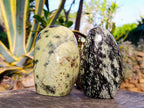Polished Leopard Stone Standing Free Forms x 4 From Nyanga, Zimbabwe - Toprock Gemstones and Minerals 