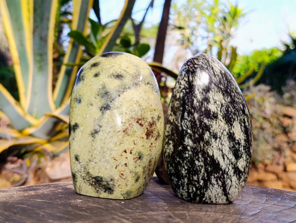 Polished Leopard Stone Standing Free Forms x 4 From Nyanga, Zimbabwe - Toprock Gemstones and Minerals 