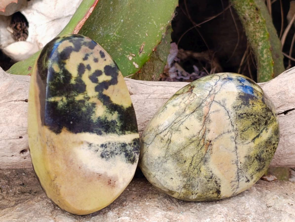 Polished Leopard Stone Standing Free Forms x 4 From Nyanga, Zimbabwe - Toprock Gemstones and Minerals 