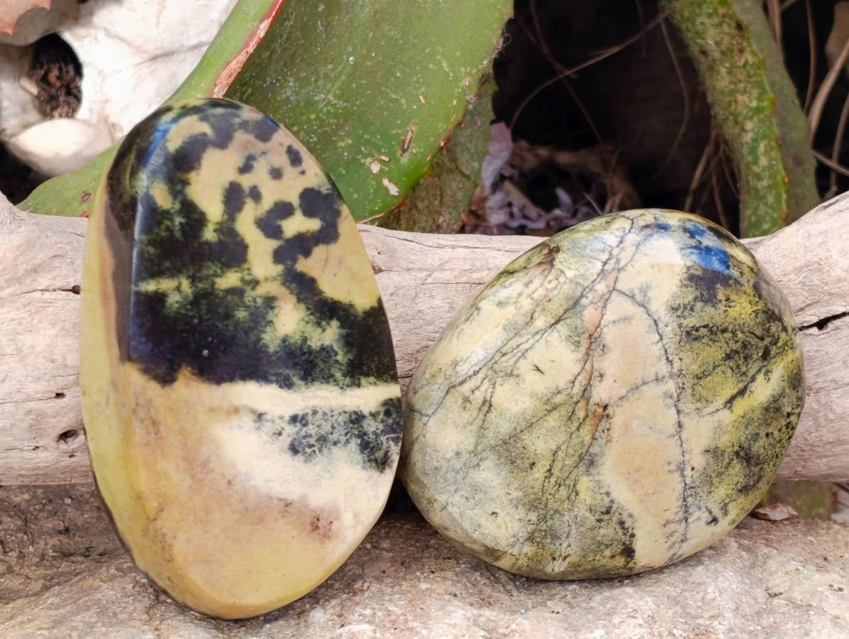 Polished Leopard Stone Standing Free Forms x 4 From Nyanga, Zimbabwe - Toprock Gemstones and Minerals 