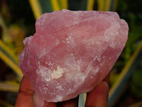 Natural Cobbed Rose Quartz Specimens x 25 From Northern Cape, South Africa - Toprock Gemstones and Minerals 