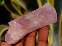 Natural Cobbed Rose Quartz Specimens x 25 From Northern Cape, South Africa - Toprock Gemstones and Minerals 