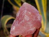 Natural Cobbed Rose Quartz Specimens x 25 From Northern Cape, South Africa - Toprock Gemstones and Minerals 