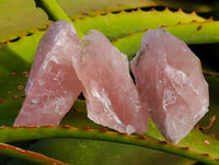 Natural Cobbed Rose Quartz Specimens x 25 From Northern Cape, South Africa - Toprock Gemstones and Minerals 